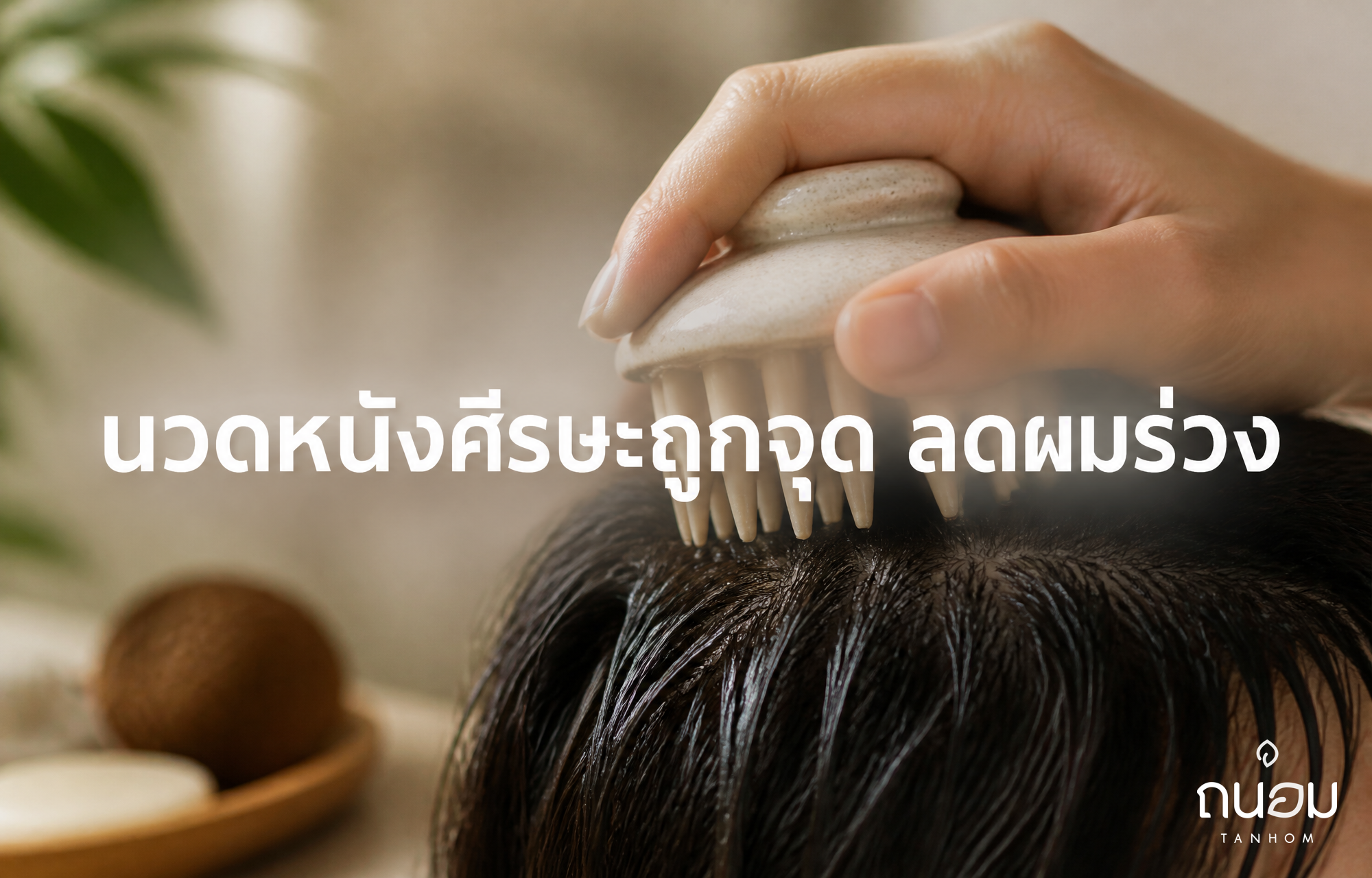 วิธีใช้แปรงสระผมนวดหนังศีรษะให้ถูกจุด ลดผมร่วงและอาการคันหนังศีรษะ
