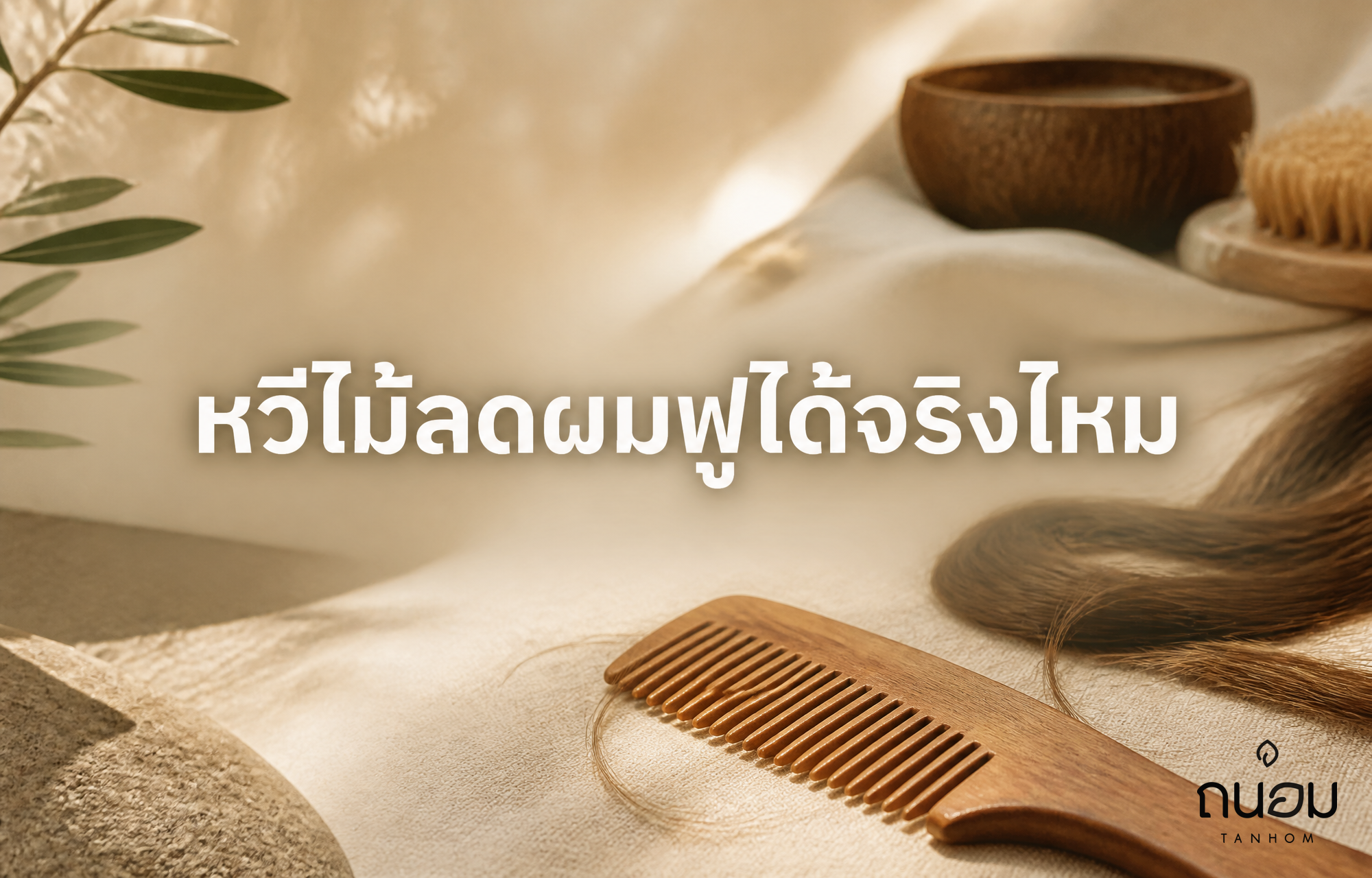 วิธีเลือกหวีไม้ให้เหมาะกับสภาพผม พร้อมเคล็ดลับหวีผมไม่ให้เกิดไฟฟ้าสถิต